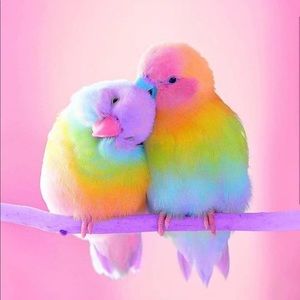 Meet your Posher, Ruby